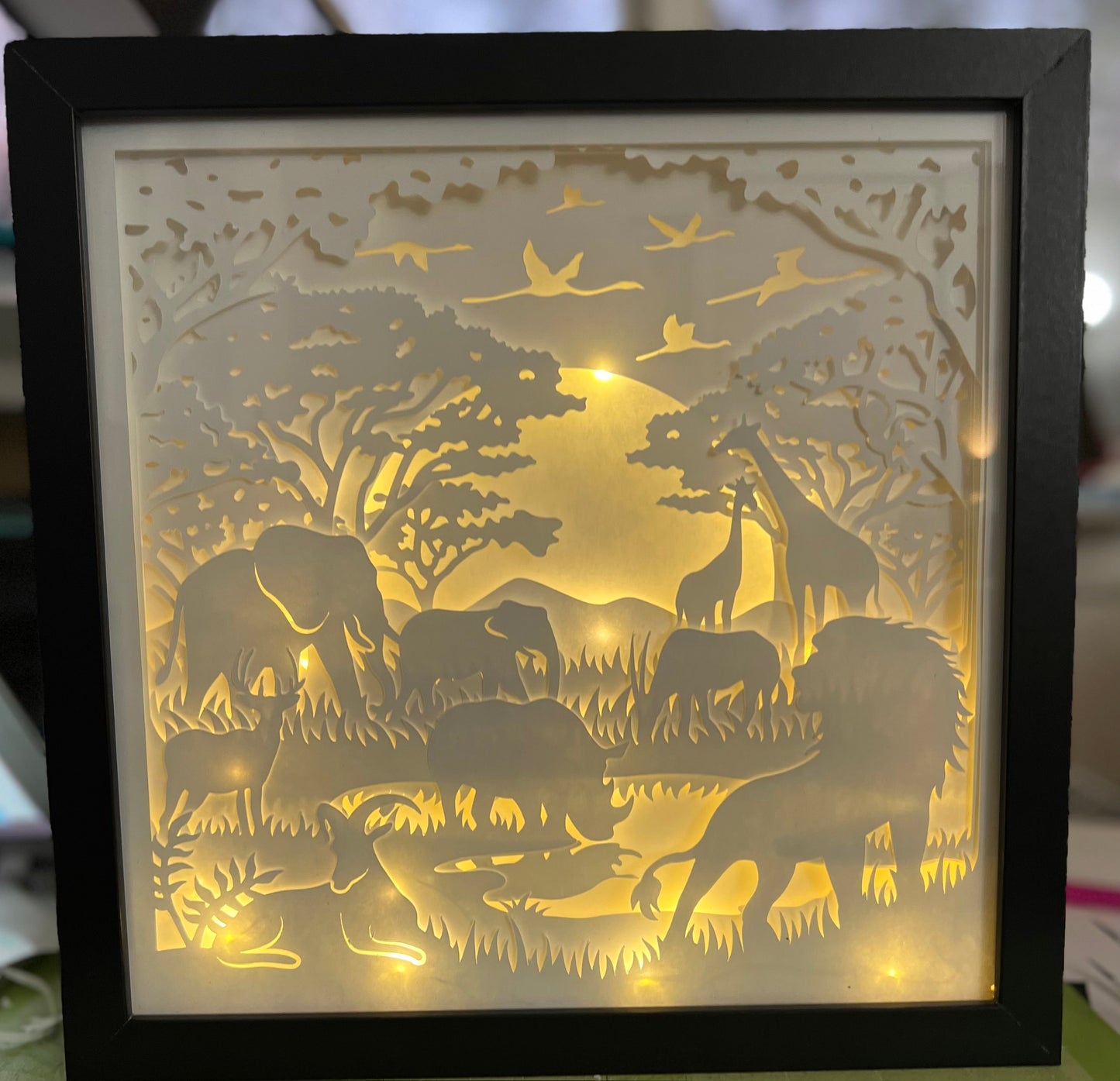 Kruger National Park Lighted Shadow Box