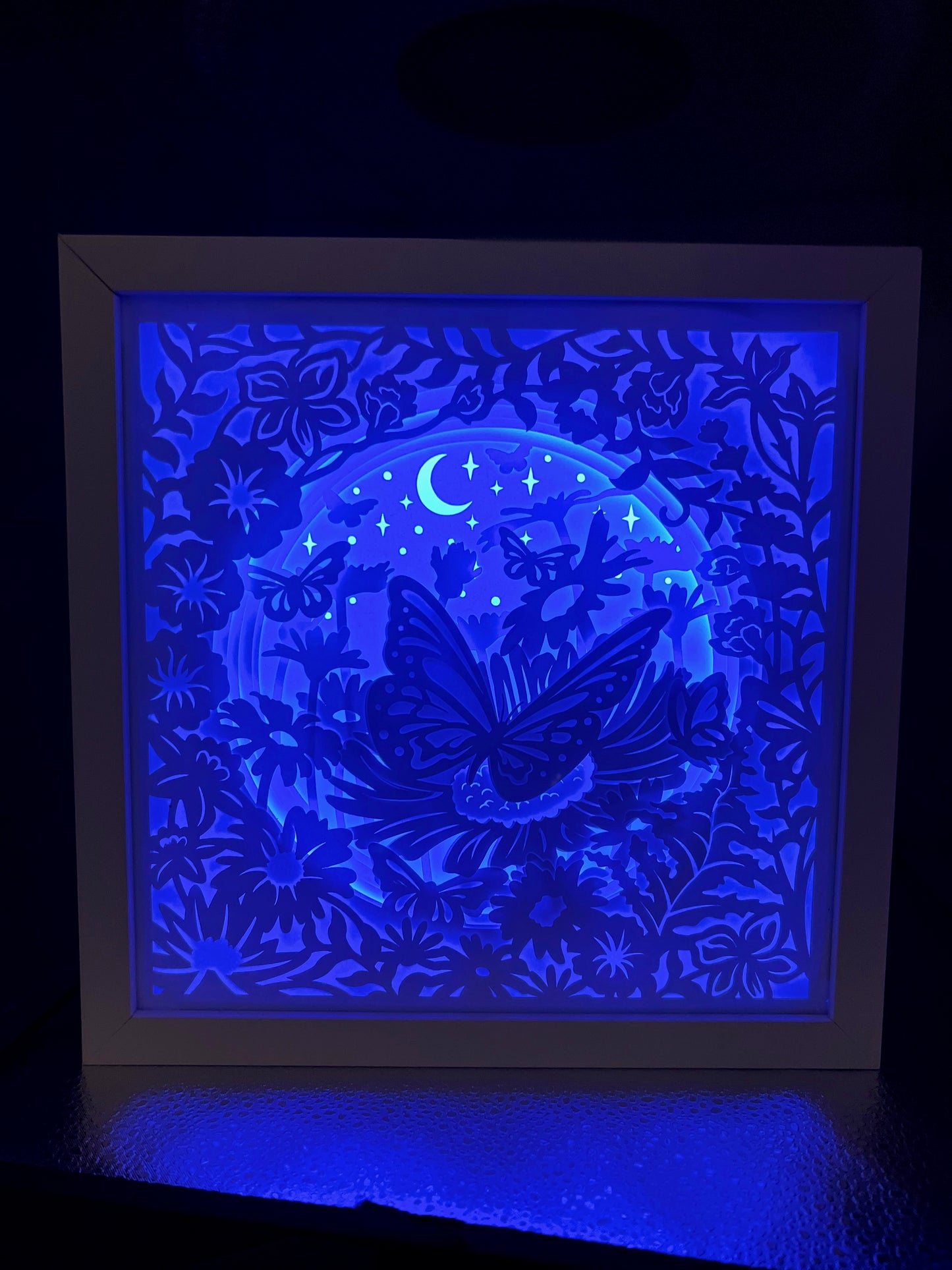 Butterfly Light Box