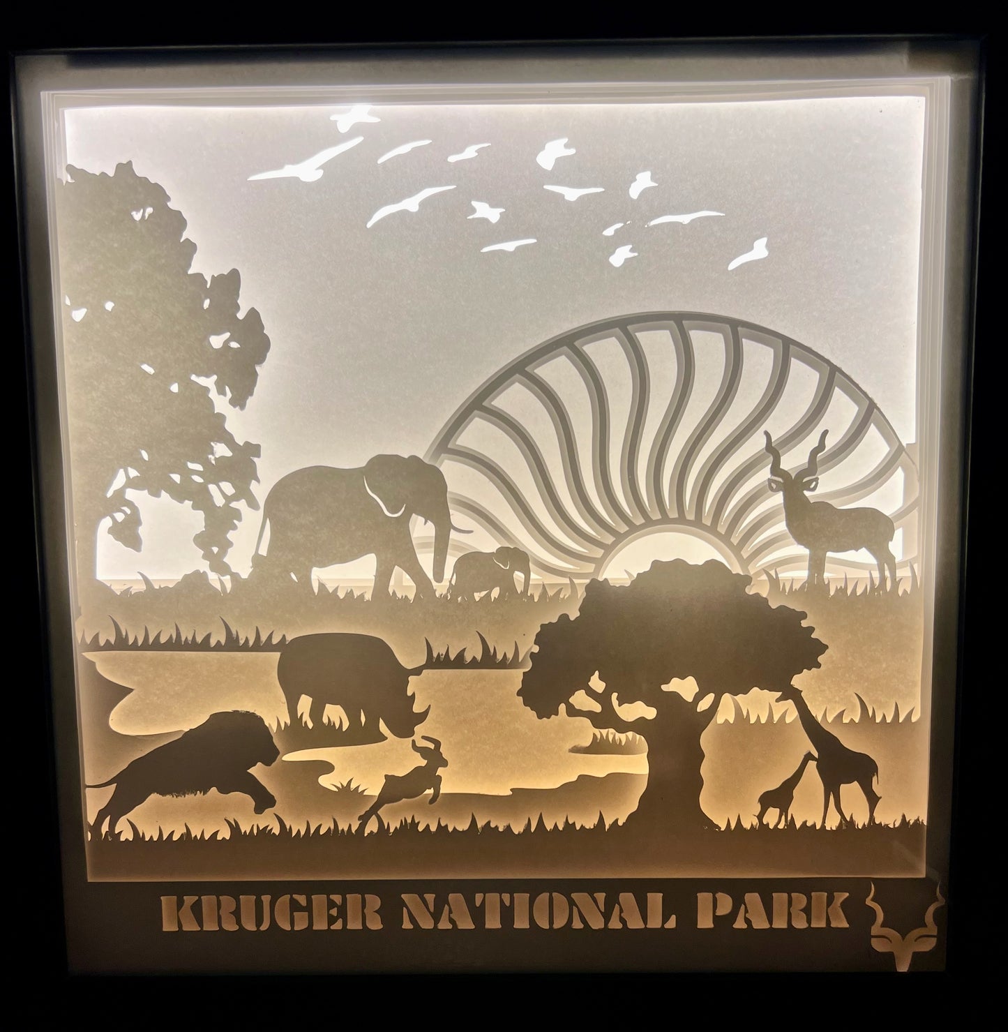 Kruger National Park Lighted Shadow Box